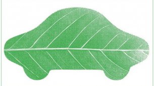 5 de Junio � D�a del Medio Ambiente